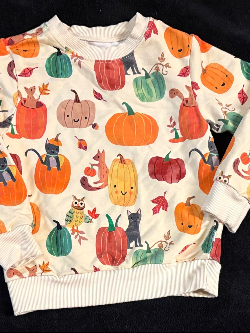 Little Sleepies Cream Sweatshirt with Orange, Green & Red Pumpkin Print